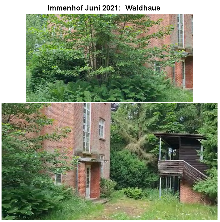 12 Immenhof 2021 -Waldhaus