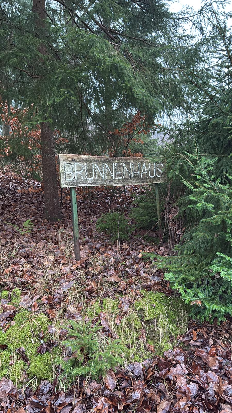 25.12.2024 Rundgang auf dem Immenhof