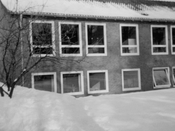 Die Immenhof-Schule um 1966.
