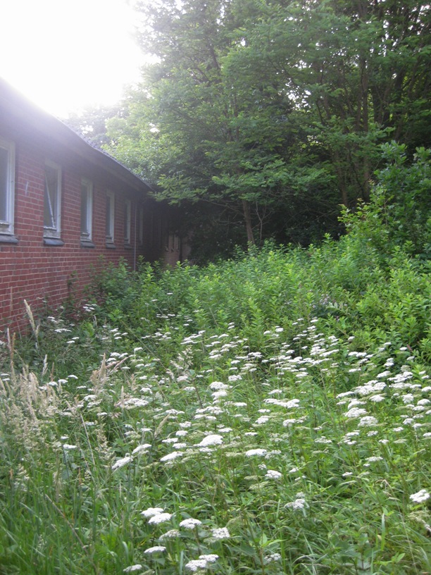 Urlaub 2014, wo einst unsere kleinen Gärtchen waren (hinter der Schule)