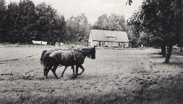 Wohnhaus - LW - 1952 erb.