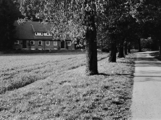 Wohnhaus - LW - erb. 1952