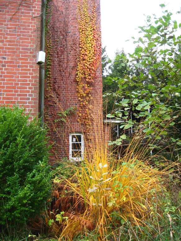 Waldhaus (3)