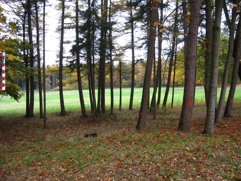 Blick zur Brunau und Speckenweg