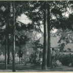 1950 - 28