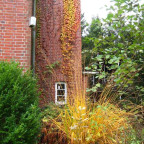 Waldhaus (3)