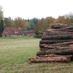 Blick zum Wohnhaus LW