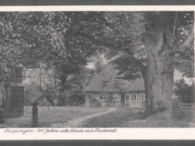 Bispingen1