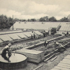 Gärtnerei des IH - Außenanblagen