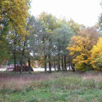 Blick v. Sachsenhaus zur LW