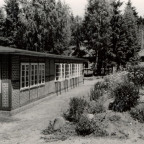 Tannenhecke - 3 - + Wäscherei