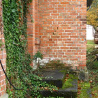 LW - Ru. - Eingang zum alten Wohnhaus - LW - die Natur ist auf dem Vormarsch