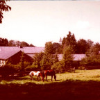 Immenhofgebäude ca. 1973 fotografiert