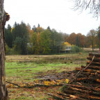Immenhof Impressionen, von Gestern bis Heute