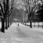 Die Kastanienallee mit Blick zum Helenhaus