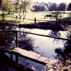 Die Brücke am alten Ententeich